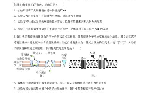 精品解析：河北省部分高中2023-2024学年高三12月期末生物试题（原卷版）_2024年1月_01每日更新_4号_2024届衡中同卷高三12月期末考_衡中同卷2024届高三12月期末考试生物