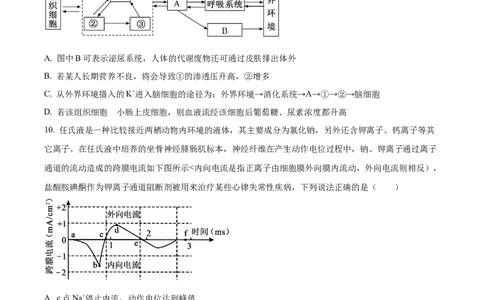 精品解析：河北省部分高中2023-2024学年高三12月期末生物试题（原卷版）_2024年1月_01每日更新_4号_2024届衡中同卷高三12月期末考_衡中同卷2024届高三12月期末考试生物