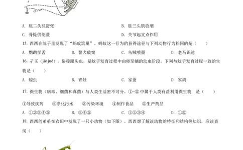 精品解析：2022年陕西省中考生物真题（A卷）（原卷版）_中考真题_8.生物中考真题2015-2024年_2022年全国中考生物114份14
