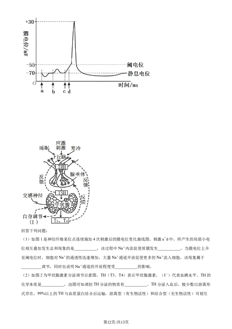 精品解析：浙江省宁波市镇海中学2023-2024学年高三12月月考生物试题（原卷版）_2024届浙江省宁波市镇海中学高三12月首考模拟_浙江省宁波市镇海中学2024届高三12月首考模拟生物