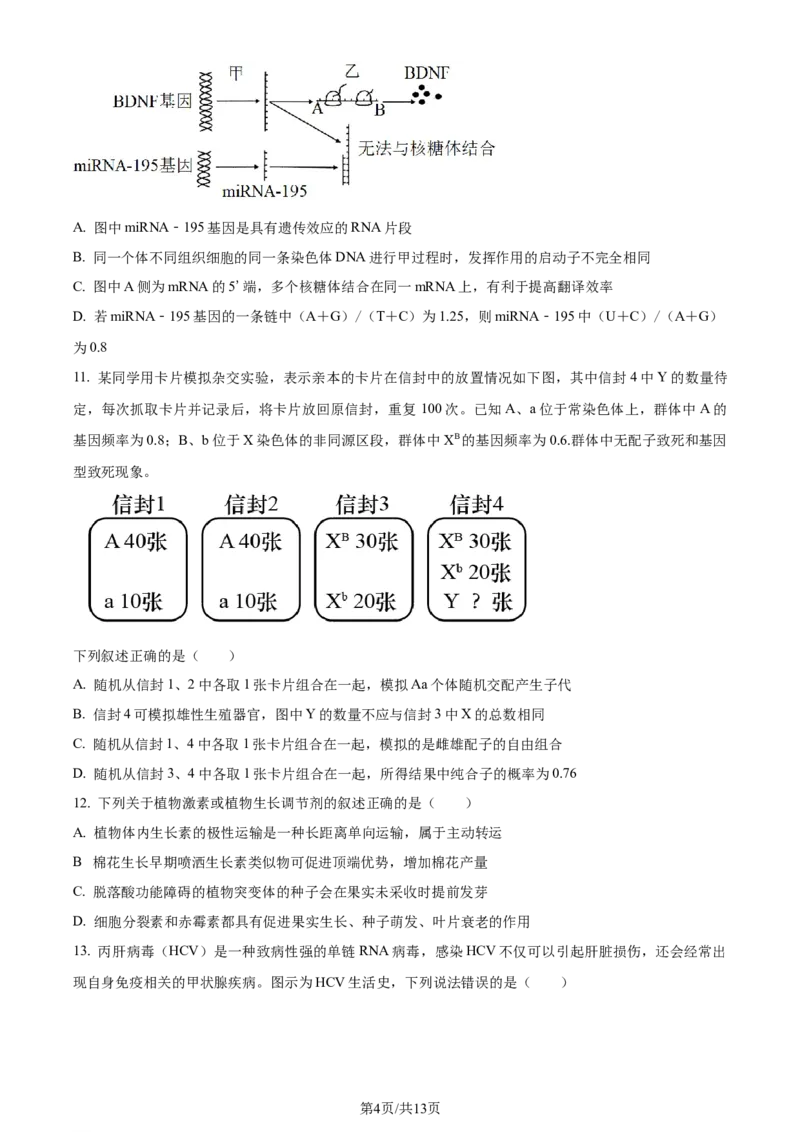 精品解析：浙江省宁波市镇海中学2023-2024学年高三12月月考生物试题（原卷版）_2024届浙江省宁波市镇海中学高三12月首考模拟_浙江省宁波市镇海中学2024届高三12月首考模拟生物