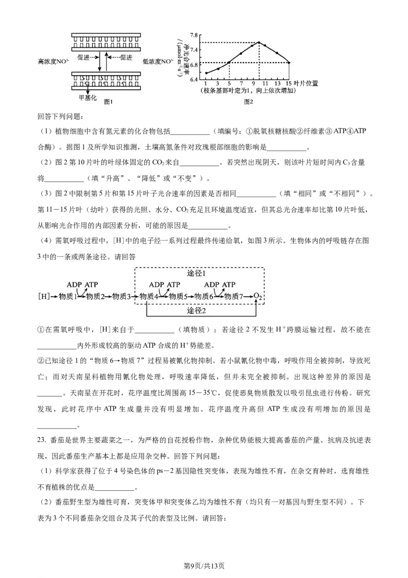 精品解析：浙江省宁波市镇海中学2023-2024学年高三12月月考生物试题（原卷版）_2024届浙江省宁波市镇海中学高三12月首考模拟_浙江省宁波市镇海中学2024届高三12月首考模拟生物
