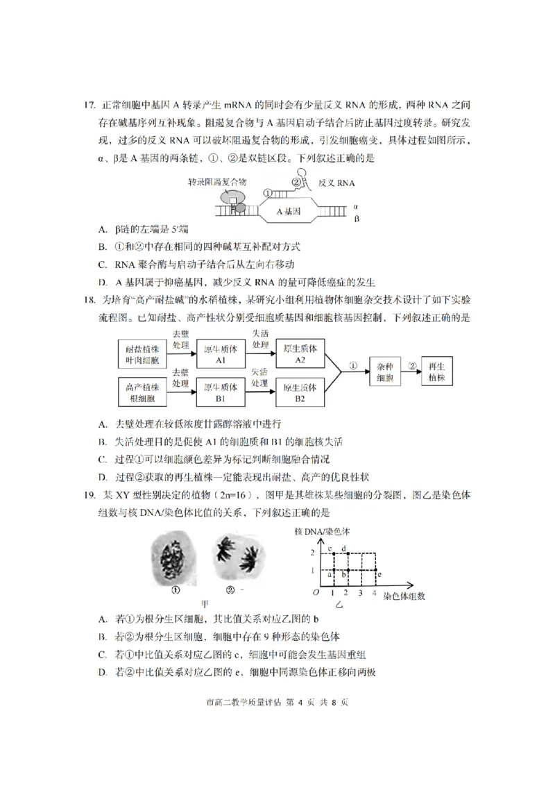 生物卷-2506台州高二期末_2025年6月_250628浙江台州市2024-2025学年高二下学期6月期末（全科）