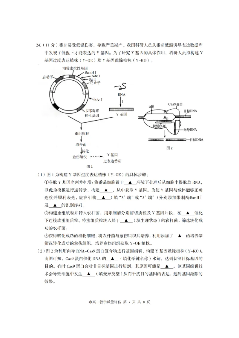 生物卷-2506台州高二期末_2025年6月_250628浙江台州市2024-2025学年高二下学期6月期末（全科）