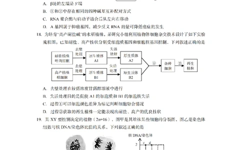 生物卷-2506台州高二期末_2025年6月_250628浙江台州市2024-2025学年高二下学期6月期末（全科）