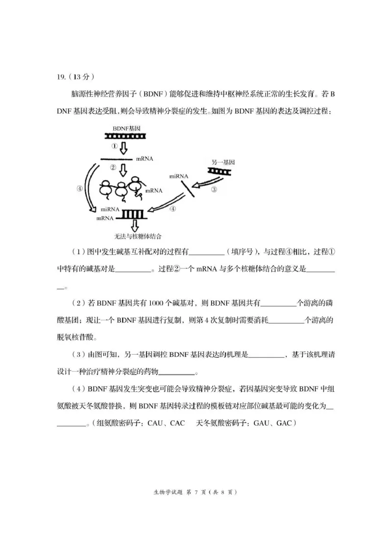 资阳市高中2023级第一次诊断性考试生物_251115四川省资阳市高中2023级第一次诊断性考试（资阳一诊）（全科）