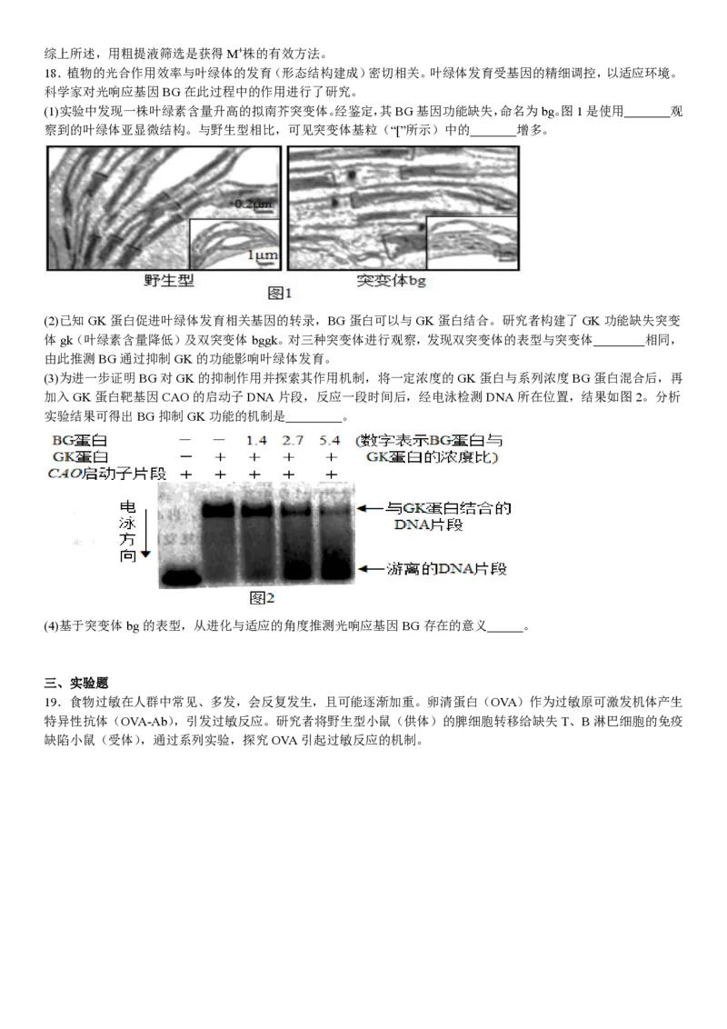 北京生物-试题_1.高考2025全国各省真题+答案_00.2025各省市高考真题及答案（按省份分类）_1、北京卷（9科全）_9.生物
