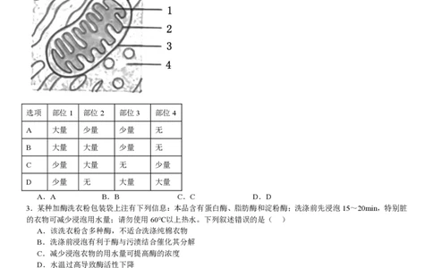 北京生物-试题_1.高考2025全国各省真题+答案_00.2025各省市高考真题及答案（按省份分类）_1、北京卷（9科全）_9.生物