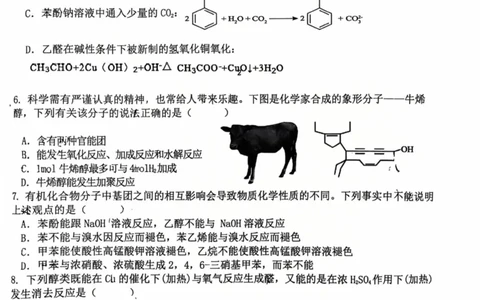 福建省福州市福九联盟2024-2025学年高二下学期期末联考化学试卷（含答案）_2025年7月_250730福建省福州市福九联盟2024-2025学年高二下学期7月期末考试_0823204624