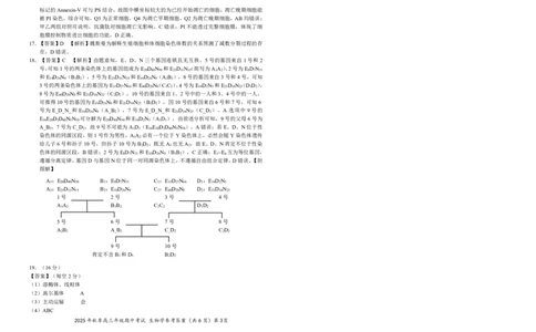 高三11月鄂东南联考生物参考答案_251103湖北省鄂东南教育联盟2025-2026学年高三上学期11月联考（全科）_湖北省鄂东南教育联盟2025-2026学年高三上学期期中考试生物