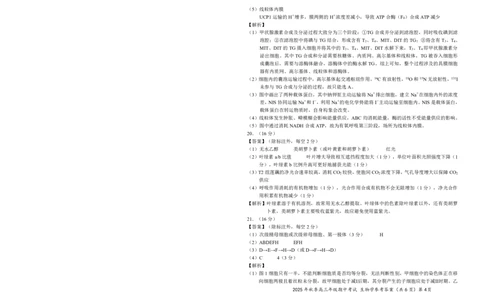 高三11月鄂东南联考生物参考答案_251103湖北省鄂东南教育联盟2025-2026学年高三上学期11月联考（全科）_湖北省鄂东南教育联盟2025-2026学年高三上学期期中考试生物