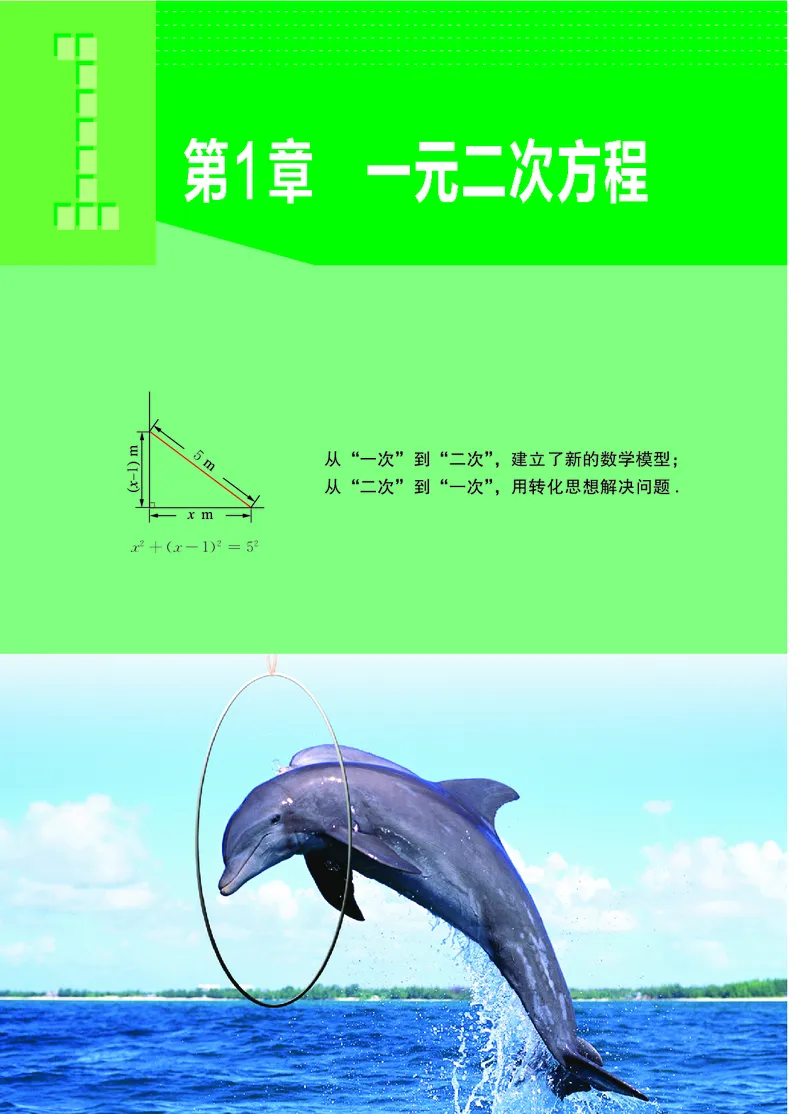 苏教版9年级数学上册高清教材_4-教培资料-26年最新资料-同步更新_初中高中教资_03科三专项（进去保存报考的学科即可）_02科三专项（笔记真题思维导图教学设计版本二）