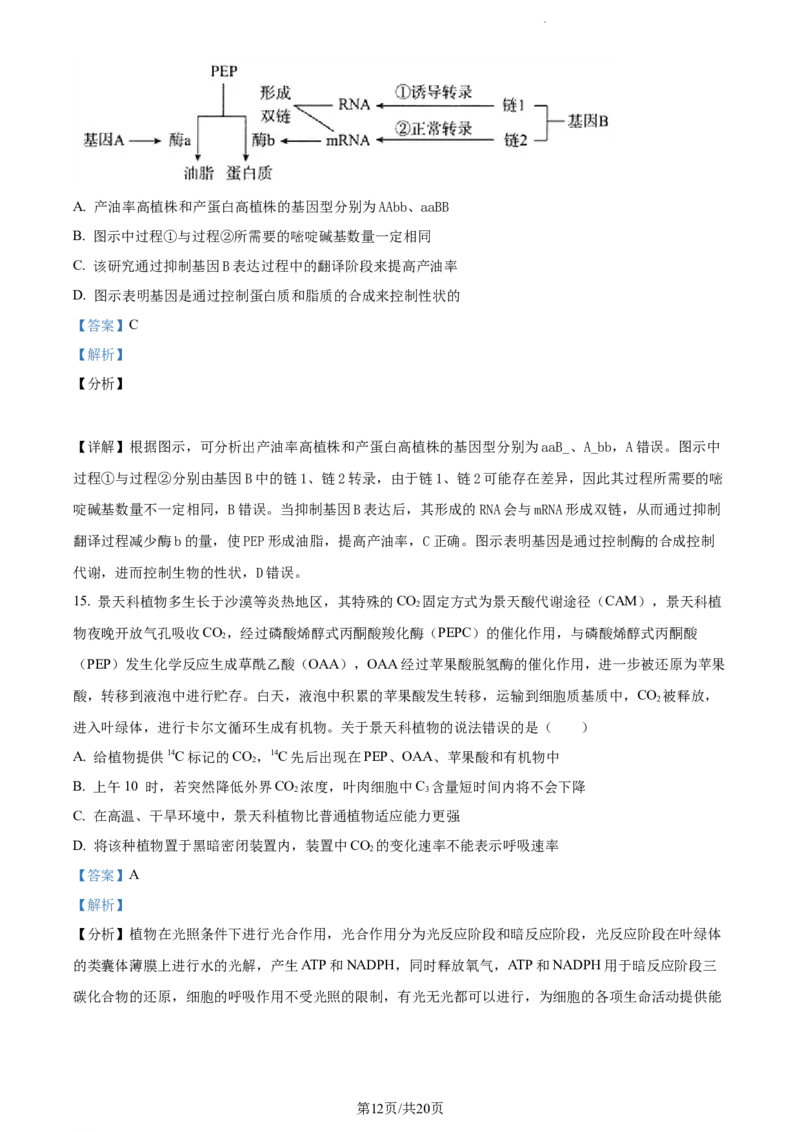 精品解析：福建省德化一中、永安一中、漳平一中三校协作2023-2024学年高三12月联考生物试题（解析版）_2024届福建省德化一中、永安一中、漳平一中三校协作高三上学期12月联考