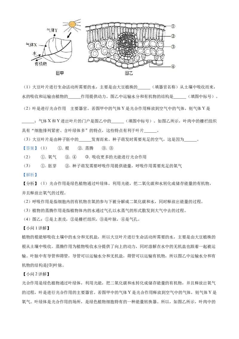 精品解析：2022年四川省成都市中考生物真题（解析版）_中考真题_8.生物中考真题2015-2024年_2022年全国中考生物114份14