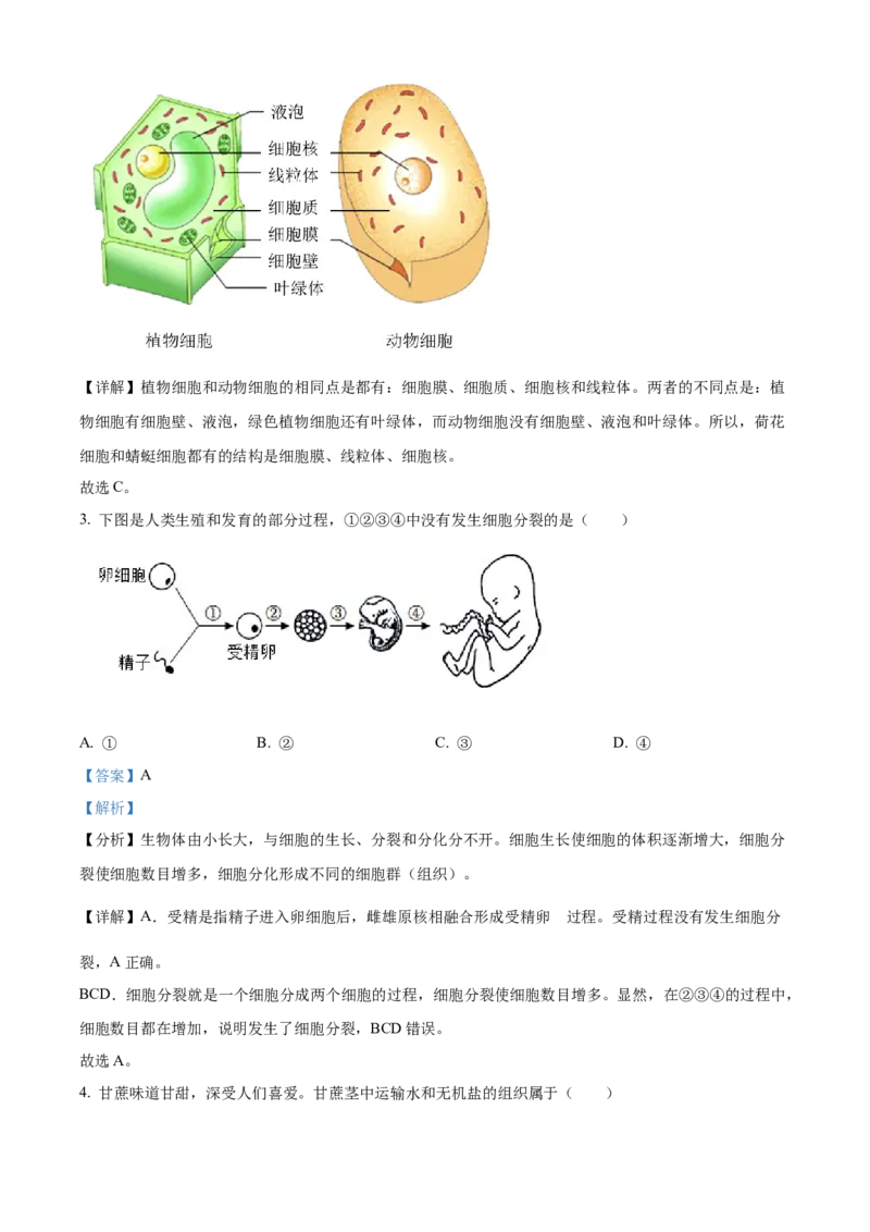 精品解析：2022年四川省成都市中考生物真题（解析版）_中考真题_8.生物中考真题2015-2024年_2022年全国中考生物114份14