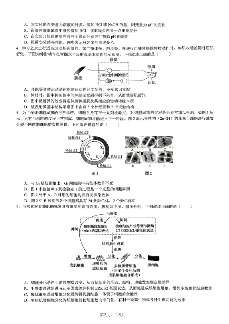 生物育才中学25-26学年上高三12月月考试卷_2025年12月_251207重庆市育才中学校2025-2026学年高三上学期12月月考（全科）_重庆市育才中学校2025-2026学年高三上学期12月月考生物