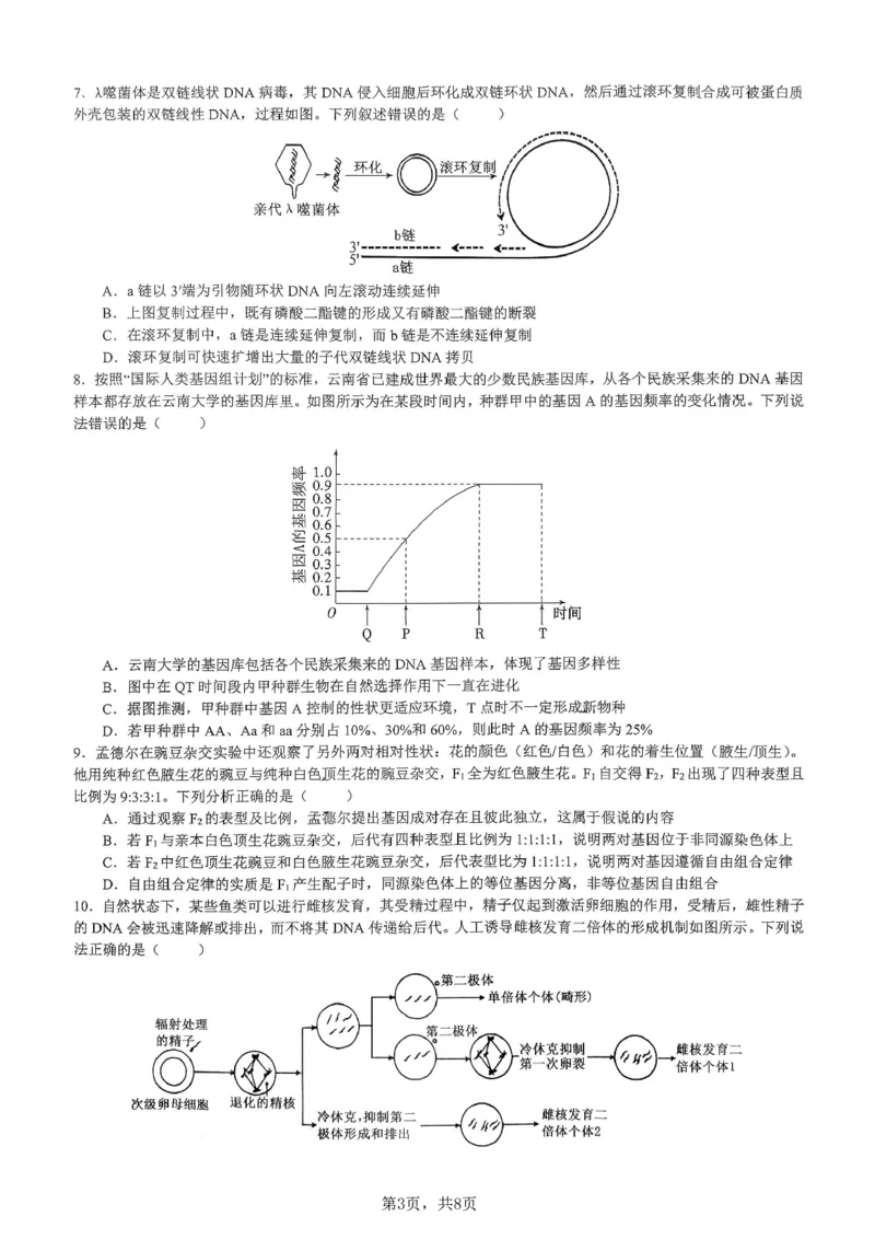 生物育才中学25-26学年上高三12月月考试卷_2025年12月_251207重庆市育才中学校2025-2026学年高三上学期12月月考（全科）_重庆市育才中学校2025-2026学年高三上学期12月月考生物
