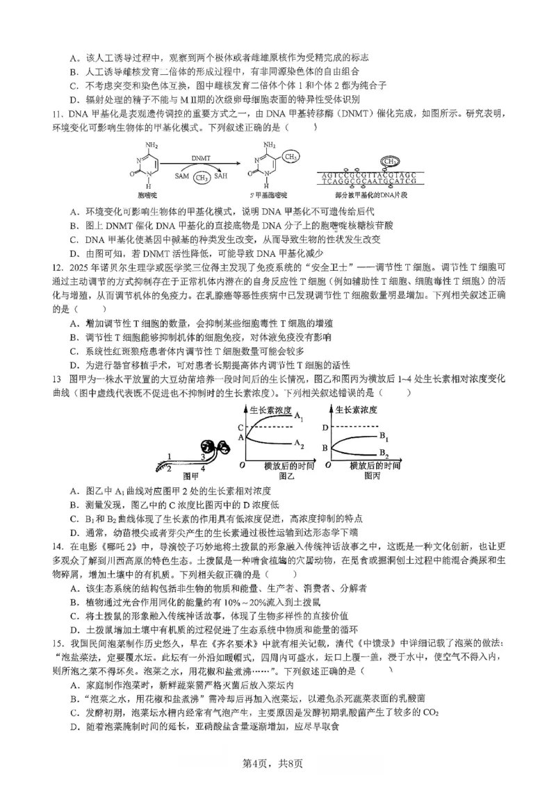 生物育才中学25-26学年上高三12月月考试卷_2025年12月_251207重庆市育才中学校2025-2026学年高三上学期12月月考（全科）_重庆市育才中学校2025-2026学年高三上学期12月月考生物