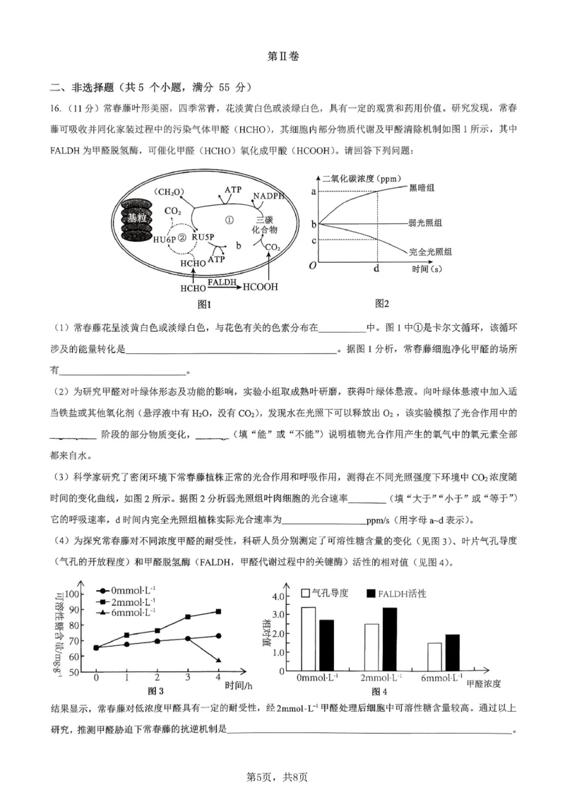 生物育才中学25-26学年上高三12月月考试卷_2025年12月_251207重庆市育才中学校2025-2026学年高三上学期12月月考（全科）_重庆市育才中学校2025-2026学年高三上学期12月月考生物