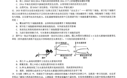 生物育才中学25-26学年上高三12月月考试卷_2025年12月_251207重庆市育才中学校2025-2026学年高三上学期12月月考（全科）_重庆市育才中学校2025-2026学年高三上学期12月月考生物