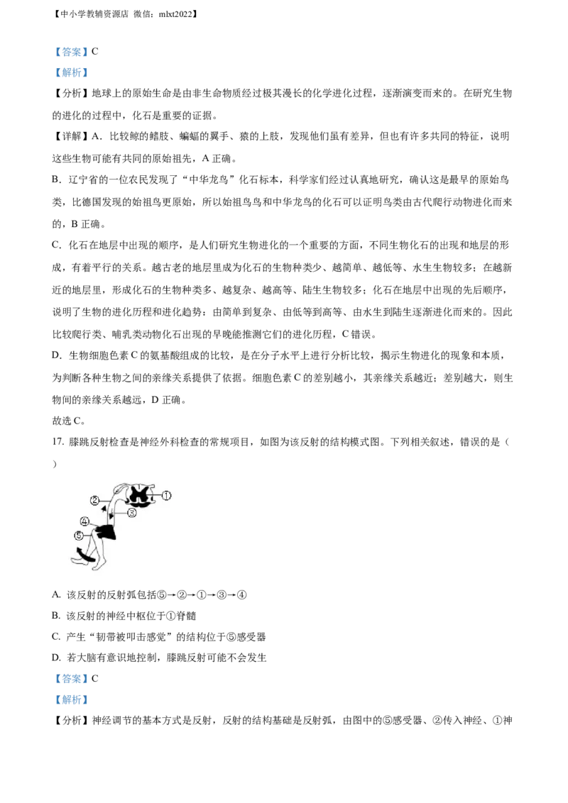 精品解析：2022年山东省东营市中考生物真题（解析版）_中考真题_8.生物中考真题2015-2024年_2022年全国中考生物114份14