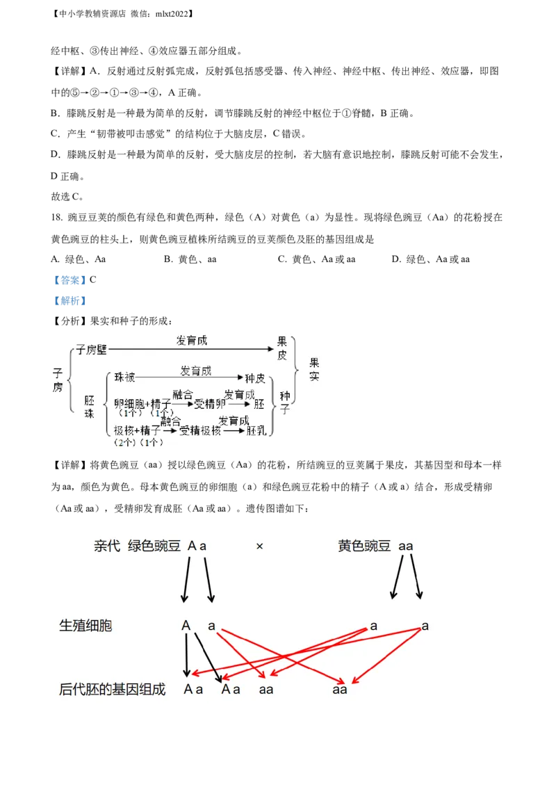 精品解析：2022年山东省东营市中考生物真题（解析版）_中考真题_8.生物中考真题2015-2024年_2022年全国中考生物114份14