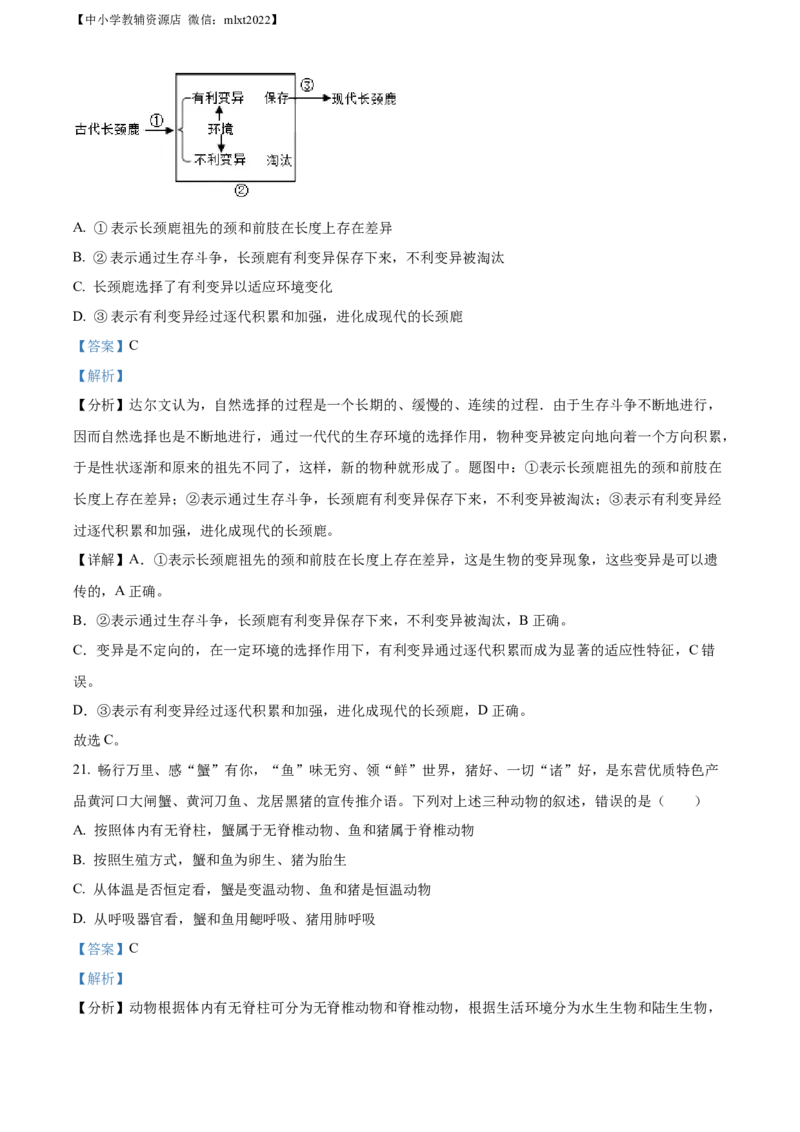 精品解析：2022年山东省东营市中考生物真题（解析版）_中考真题_8.生物中考真题2015-2024年_2022年全国中考生物114份14