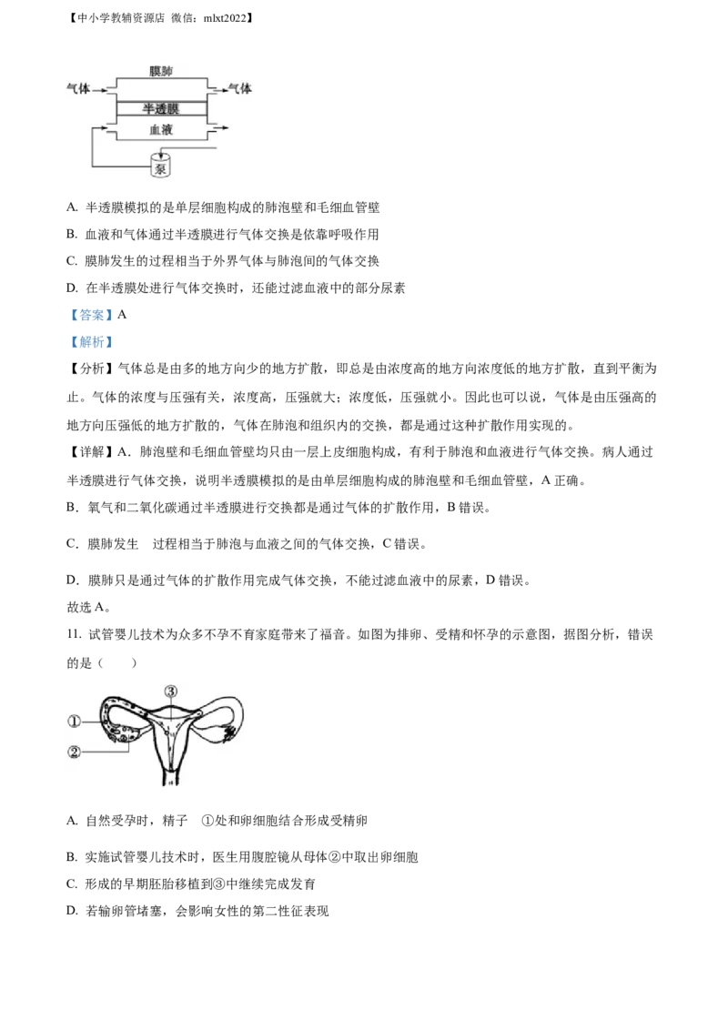 精品解析：2022年山东省东营市中考生物真题（解析版）_中考真题_8.生物中考真题2015-2024年_2022年全国中考生物114份14