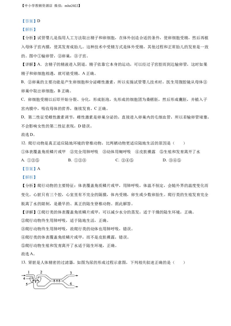 精品解析：2022年山东省东营市中考生物真题（解析版）_中考真题_8.生物中考真题2015-2024年_2022年全国中考生物114份14