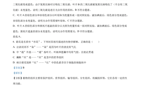 精品解析：2022年山东省东营市中考生物真题（解析版）_中考真题_8.生物中考真题2015-2024年_2022年全国中考生物114份14