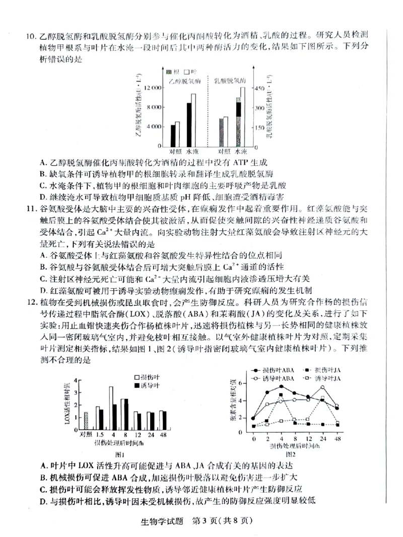 湖南省天一大联考暨郴州市教学质量检测（郴州二检怀化统考）生物PDF版含解析_2025年1月_250101湖南省天一大联考暨郴州市教学质量检测（郴州二检怀化统考）