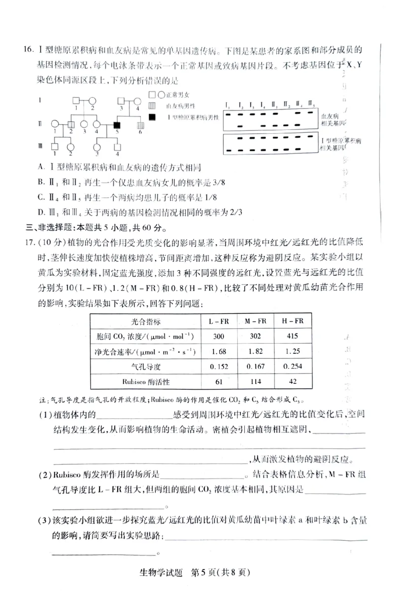 湖南省天一大联考暨郴州市教学质量检测（郴州二检怀化统考）生物PDF版含解析_2025年1月_250101湖南省天一大联考暨郴州市教学质量检测（郴州二检怀化统考）