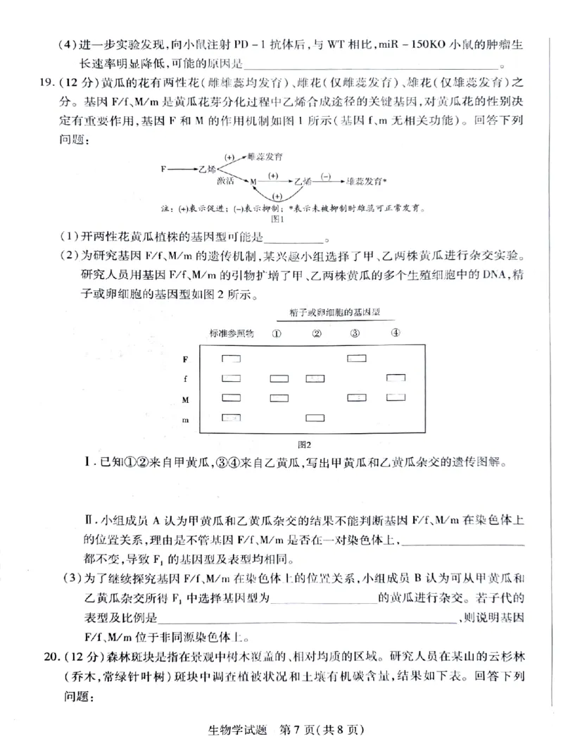 湖南省天一大联考暨郴州市教学质量检测（郴州二检怀化统考）生物PDF版含解析_2025年1月_250101湖南省天一大联考暨郴州市教学质量检测（郴州二检怀化统考）