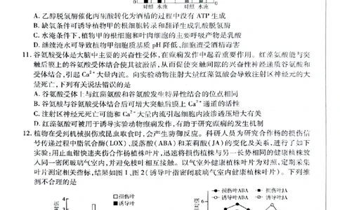 湖南省天一大联考暨郴州市教学质量检测（郴州二检怀化统考）生物PDF版含解析_2025年1月_250101湖南省天一大联考暨郴州市教学质量检测（郴州二检怀化统考）