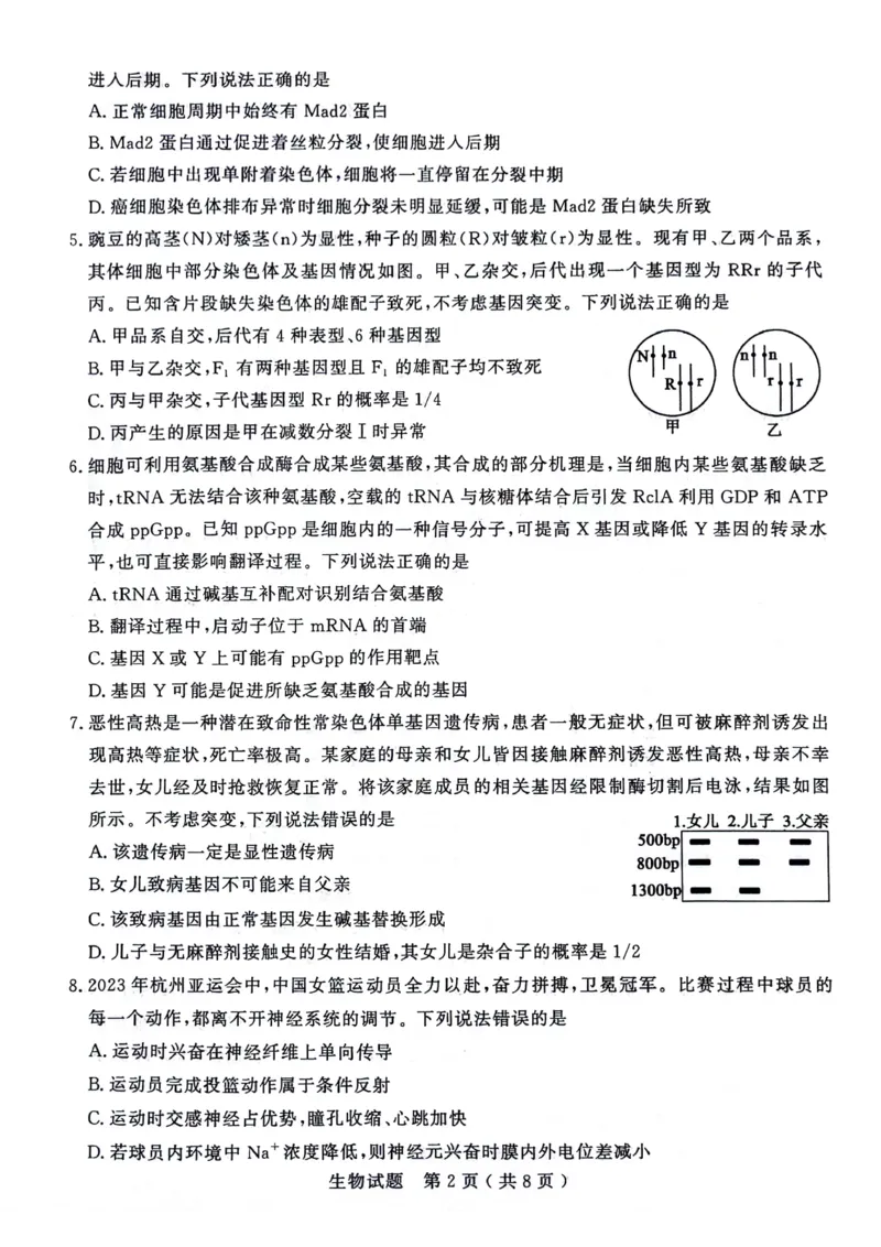 山东省济宁市2024届高三上学期1月期末生物_2024届山东省济宁市高三上学期1月期末