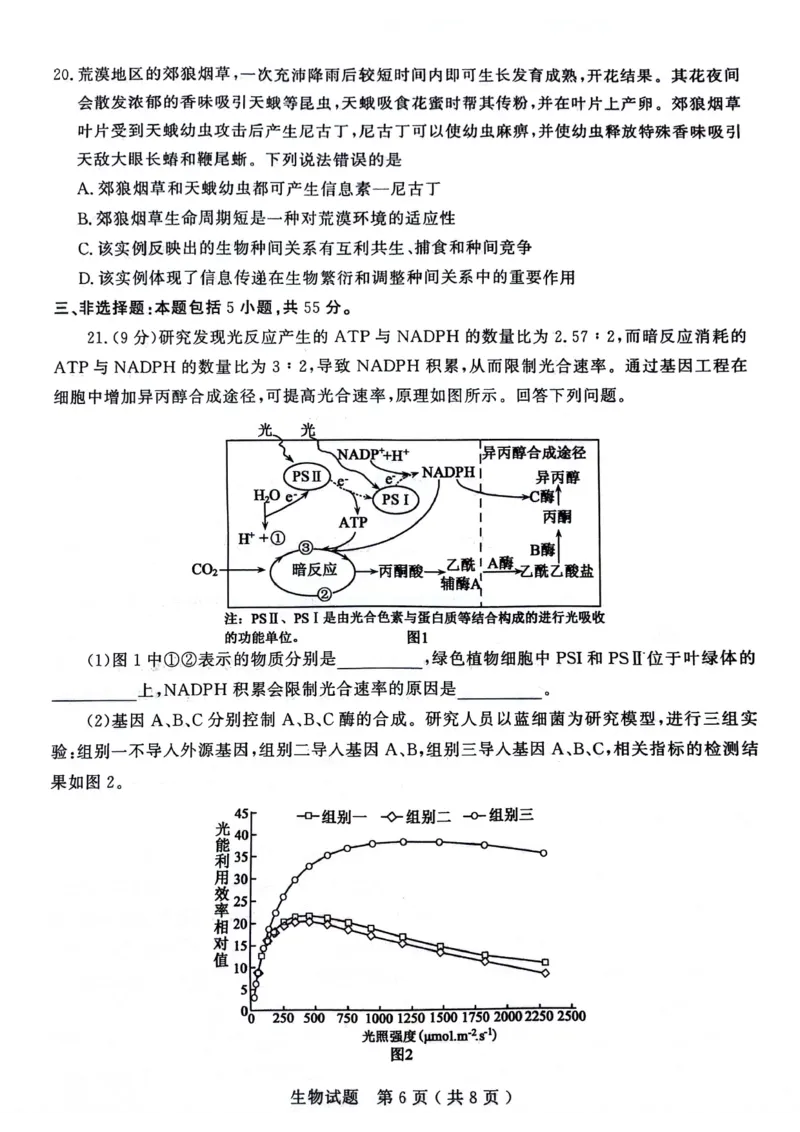 山东省济宁市2024届高三上学期1月期末生物_2024届山东省济宁市高三上学期1月期末