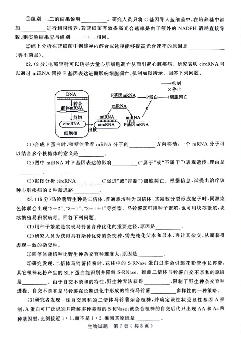 山东省济宁市2024届高三上学期1月期末生物_2024届山东省济宁市高三上学期1月期末