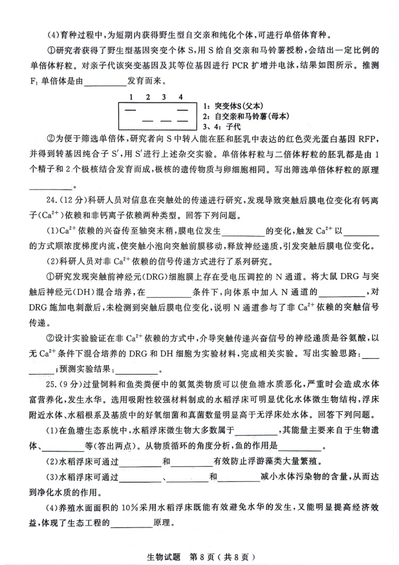 山东省济宁市2024届高三上学期1月期末生物_2024届山东省济宁市高三上学期1月期末