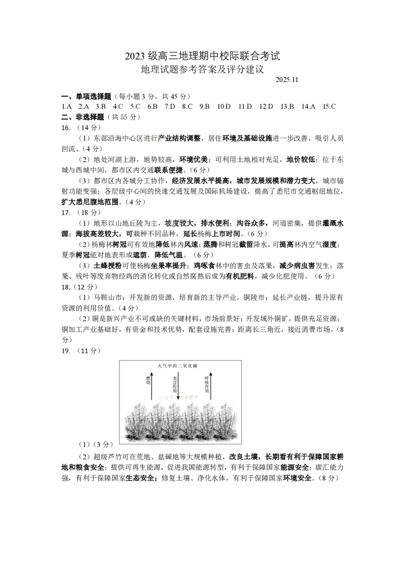高三地理参考答案及评分建议_2025年12月_251202山东省日照市2026届校际联考高三上学期期中考试（全科）_答案