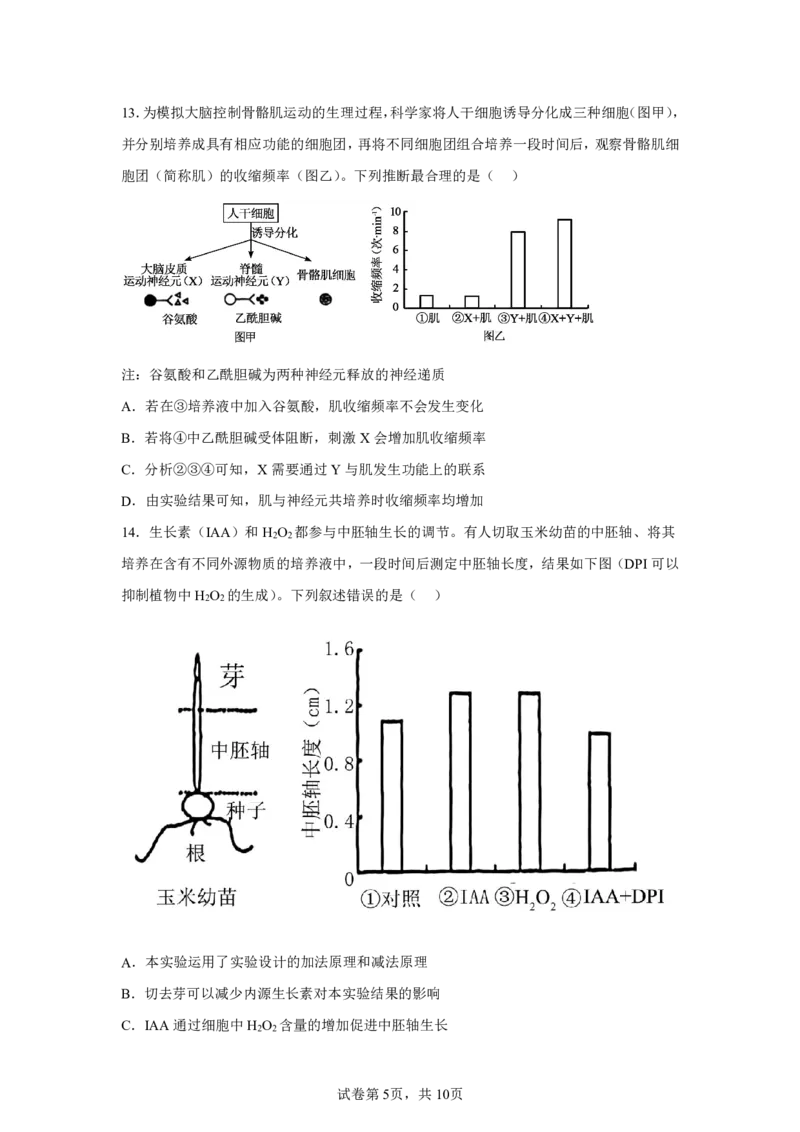 四川2025年高考四川卷生物高考真题文档版-A4答案卷尾_1.高考2025全国各省真题+答案_9.高考生物真题答案更新中