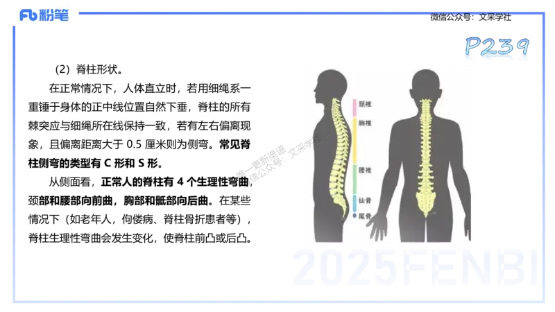 理论精讲12-体育保健学2-百川(1)(1)_4-教培资料-26年最新资料-同步更新_初中高中教资_03科三专项（进去保存报考的学科即可）_01科目三FB网课、三色速记手册、知识点导图等推荐