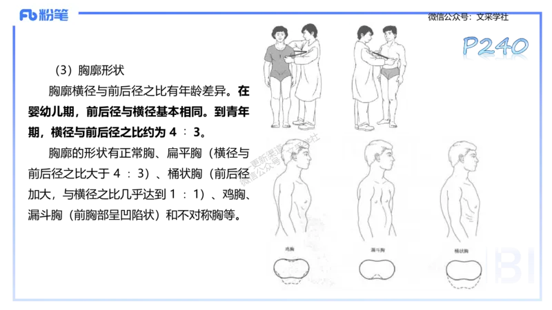 理论精讲12-体育保健学2-百川(1)(1)_4-教培资料-26年最新资料-同步更新_初中高中教资_03科三专项（进去保存报考的学科即可）_01科目三FB网课、三色速记手册、知识点导图等推荐