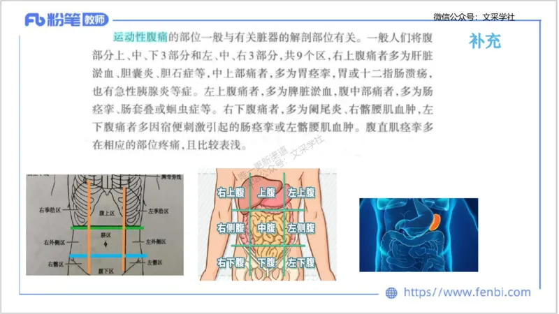 理论精讲12-体育保健学2-百川(1)(1)_4-教培资料-26年最新资料-同步更新_初中高中教资_03科三专项（进去保存报考的学科即可）_01科目三FB网课、三色速记手册、知识点导图等推荐