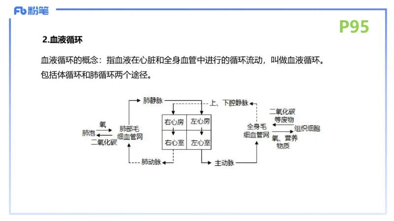 理论精讲13-动物学3-拾光_4-教培资料-26年最新资料-同步更新_初中高中教资_03科三专项（进去保存报考的学科即可）_01科目三FB网课、三色速记手册、知识点导图等推荐_初中