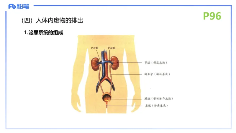 理论精讲13-动物学3-拾光_4-教培资料-26年最新资料-同步更新_初中高中教资_03科三专项（进去保存报考的学科即可）_01科目三FB网课、三色速记手册、知识点导图等推荐_初中