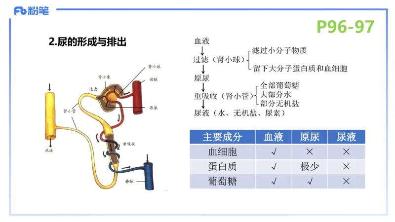 理论精讲13-动物学3-拾光_4-教培资料-26年最新资料-同步更新_初中高中教资_03科三专项（进去保存报考的学科即可）_01科目三FB网课、三色速记手册、知识点导图等推荐_初中