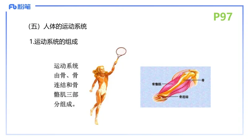 理论精讲13-动物学3-拾光_4-教培资料-26年最新资料-同步更新_初中高中教资_03科三专项（进去保存报考的学科即可）_01科目三FB网课、三色速记手册、知识点导图等推荐_初中