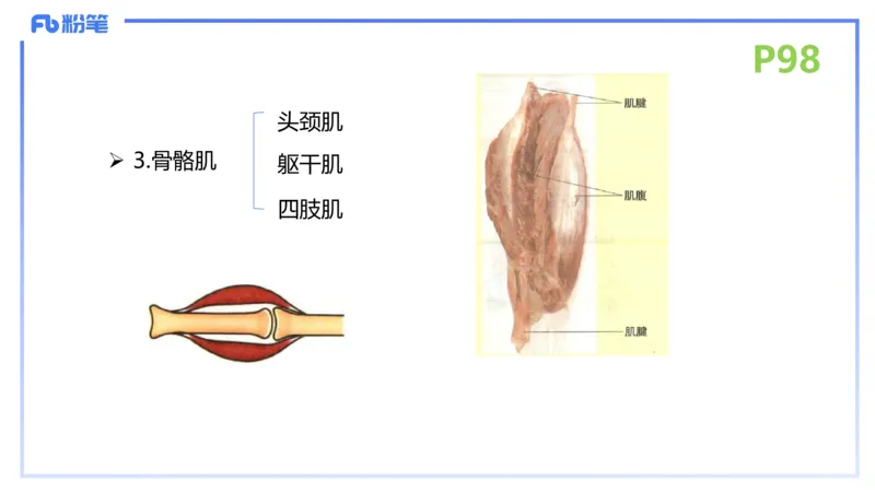 理论精讲13-动物学3-拾光_4-教培资料-26年最新资料-同步更新_初中高中教资_03科三专项（进去保存报考的学科即可）_01科目三FB网课、三色速记手册、知识点导图等推荐_初中