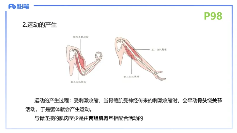 理论精讲13-动物学3-拾光_4-教培资料-26年最新资料-同步更新_初中高中教资_03科三专项（进去保存报考的学科即可）_01科目三FB网课、三色速记手册、知识点导图等推荐_初中