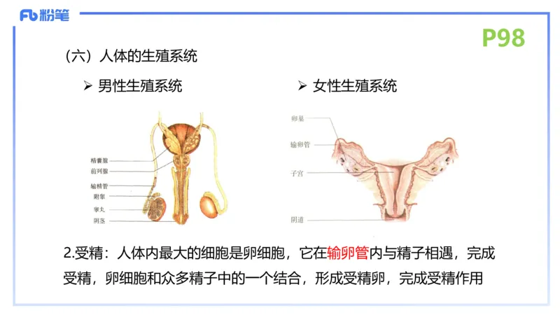理论精讲13-动物学3-拾光_4-教培资料-26年最新资料-同步更新_初中高中教资_03科三专项（进去保存报考的学科即可）_01科目三FB网课、三色速记手册、知识点导图等推荐_初中